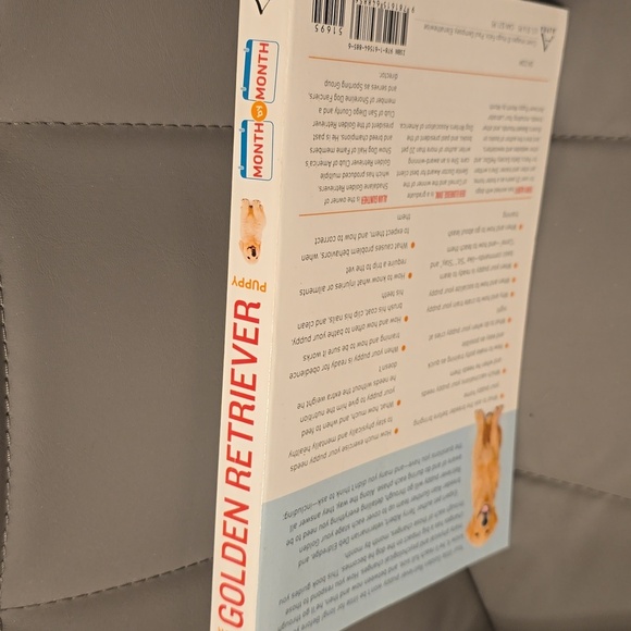 EUC Your Golden Retriever Puppy - Picture 3 of 4